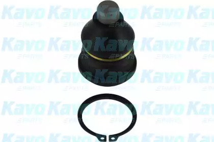 Шарнир (KAVO PARTS: SBJ-6505)