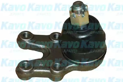 Шарнир (KAVO PARTS: SBJ-6521)