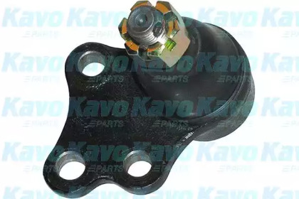 Шарнир (KAVO PARTS: SBJ-6522)