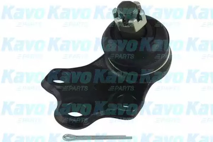 Шарнир (KAVO PARTS: SBJ-6523)