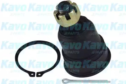 Шарнир (KAVO PARTS: SBJ-6543)