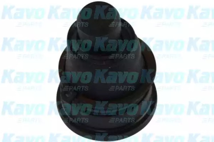 Шарнир (KAVO PARTS: SBJ-6561)