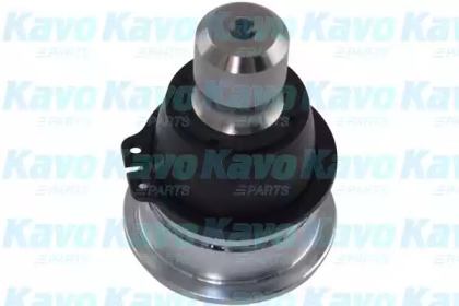 Шарнир (KAVO PARTS: SBJ-6562)