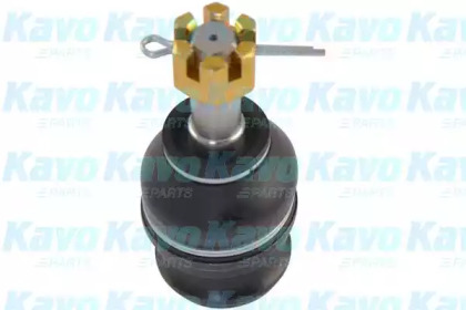 Шарнир (KAVO PARTS: SBJ-8002)