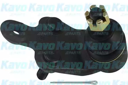 Шарнир (KAVO PARTS: SBJ-9047)