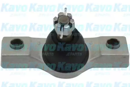 Шарнир (KAVO PARTS: SBJ-9081)