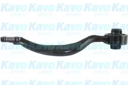 Рычаг независимой подвески колеса (KAVO PARTS: SCA-9242)