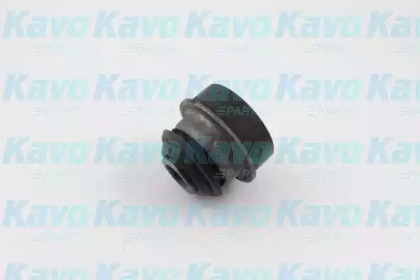 Подвеска (KAVO PARTS: SCR-6551)