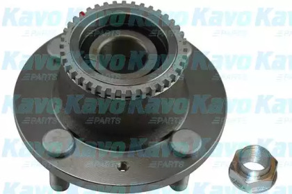 Комплект подшипника (KAVO PARTS: WBH-1009)