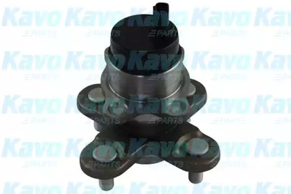 Комплект подшипника (KAVO PARTS: WBH-1502)