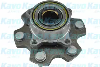 Комплект подшипника (KAVO PARTS: WBH-5513)