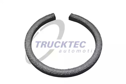 Уплотняющее кольцо (TRUCKTEC AUTOMOTIVE: 02.67.005)