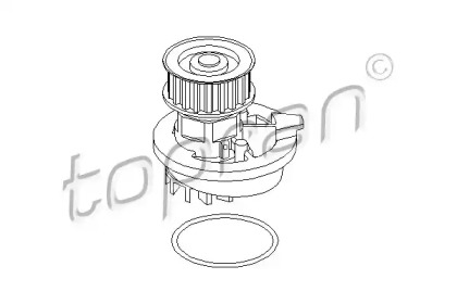 Насос (TOPRAN: 202 284)