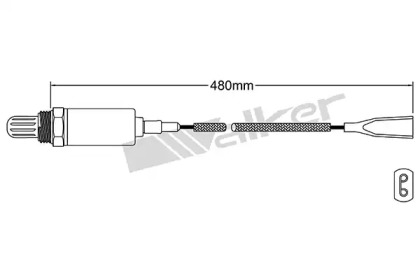 Датчик (WALKER PRODUCTS: 250-21024)