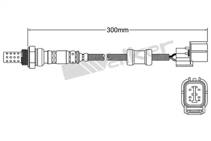 Датчик (WALKER PRODUCTS: 250-24011)