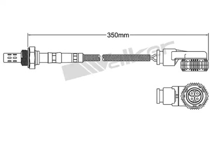 Датчик (WALKER PRODUCTS: 250-24038)