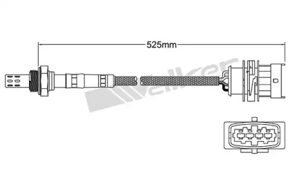 Датчик (WALKER PRODUCTS: 250-241024)