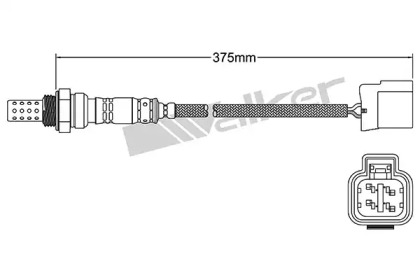 Датчик (WALKER PRODUCTS: 250-241029)