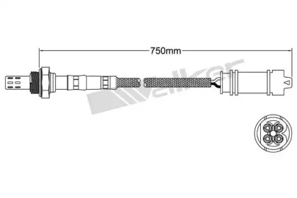 Датчик (WALKER PRODUCTS: 250-241092)