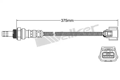 Датчик (WALKER PRODUCTS: 250-241106)