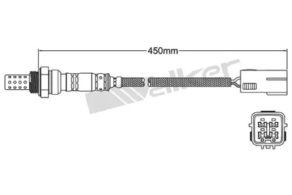 Датчик (WALKER PRODUCTS: 250-24131)