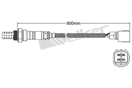 Датчик (WALKER PRODUCTS: 250-24137)