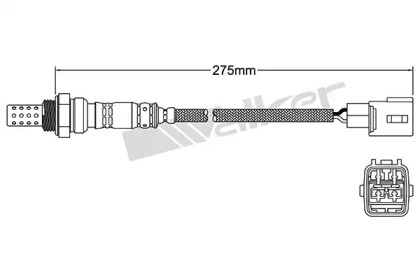 Датчик (WALKER PRODUCTS: 250-24169)