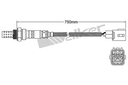 Датчик (WALKER PRODUCTS: 250-24176)