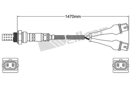 Датчик (WALKER PRODUCTS: 250-24184)