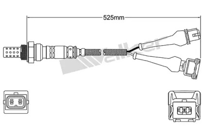 Датчик (WALKER PRODUCTS: 250-24192)