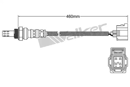 Датчик (WALKER PRODUCTS: 250-24251)