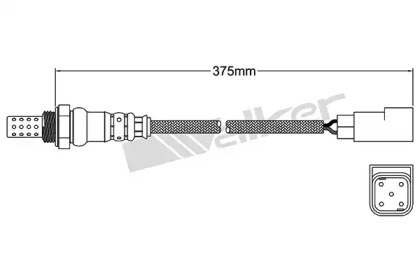 Датчик (WALKER PRODUCTS: 250-24283)