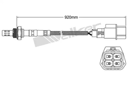 Датчик (WALKER PRODUCTS: 250-24284)