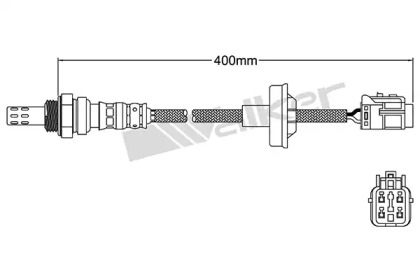 Датчик (WALKER PRODUCTS: 250-24289)