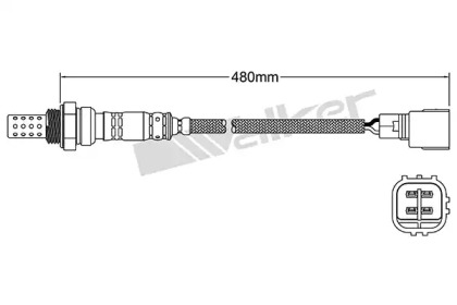 Датчик (WALKER PRODUCTS: 250-24305)