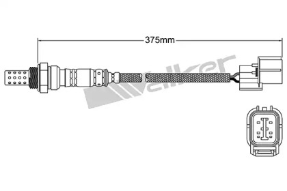 Датчик (WALKER PRODUCTS: 250-24308)