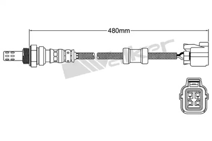 Датчик (WALKER PRODUCTS: 250-24343)