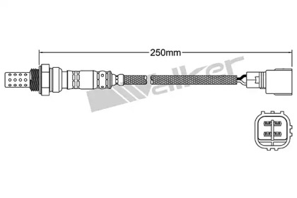 Датчик (WALKER PRODUCTS: 250-24344)