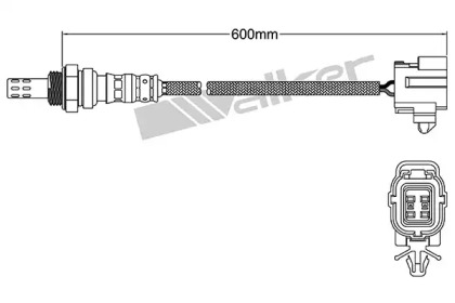 Датчик (WALKER PRODUCTS: 250-24365)