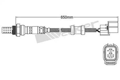 Датчик (WALKER PRODUCTS: 250-24391)