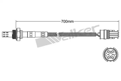 Датчик (WALKER PRODUCTS: 250-24411)