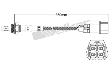 Датчик (WALKER PRODUCTS: 250-24434)