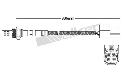 Датчик (WALKER PRODUCTS: 250-24437)