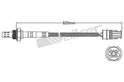 Датчик (WALKER PRODUCTS: 250-24445)