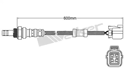 Датчик (WALKER PRODUCTS: 250-24446)