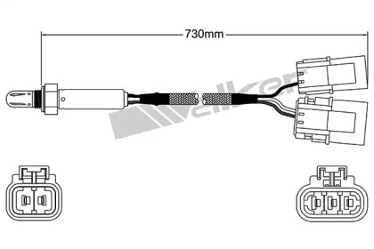 Датчик (WALKER PRODUCTS: 250-24505)