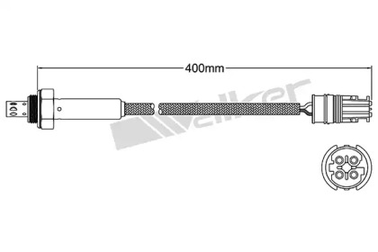 Датчик (WALKER PRODUCTS: 250-24516)