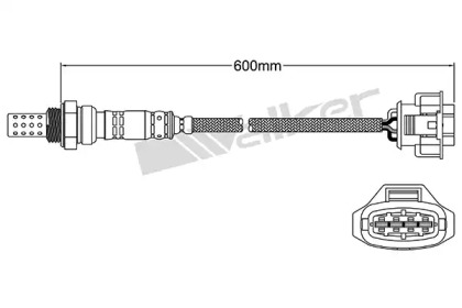 Датчик (WALKER PRODUCTS: 250-24571)