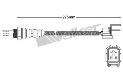 Датчик (WALKER PRODUCTS: 250-24602)