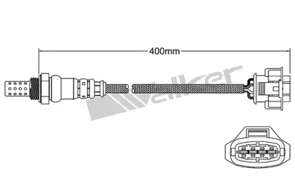 Датчик (WALKER PRODUCTS: 250-24612)